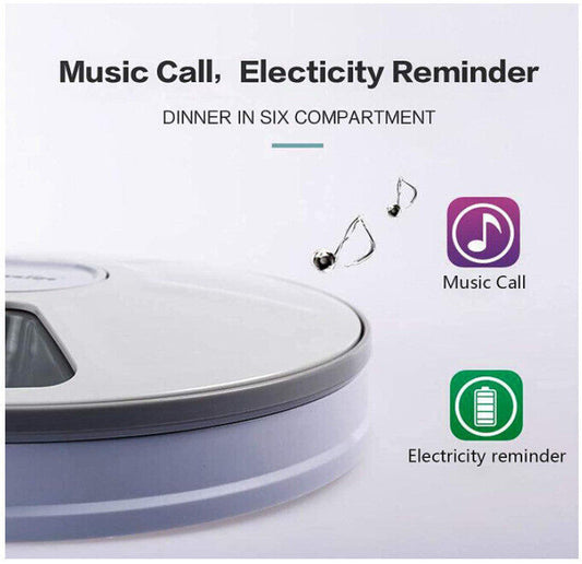 Automatic 6 Day Meal Timed Pet Dog Cat Feeder Food Bowl Auto Holiday Dispenser
